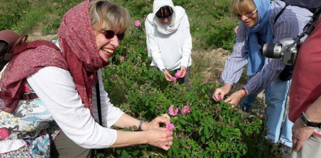 کشاورزی چگونه جاذبه گردشگری شود؟